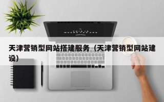 陵水天津营销型网站搭建服务（天津营销型网站建设）
