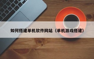 陵水如何搭建单机软件网站（单机游戏搭建）